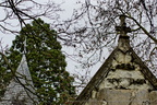  DSC1143