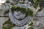  DSC1149