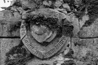  DSC1149 BW