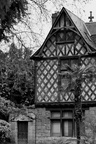  DSC1150 BW