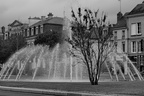  DSC1158 BW