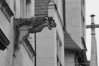  DSC1169 BW