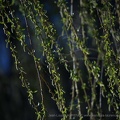 DSC03543