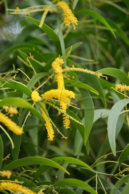 DSC09776 (1752 visites) DSC09776