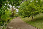 SDIM8998