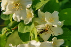 DSC00257