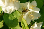 DSC00260