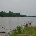 DSC02358