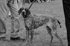 DSC03380 BW