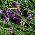DSC03668