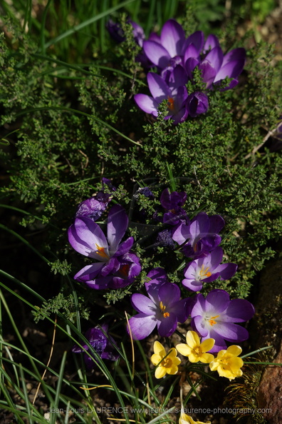 DSC03669.JPG