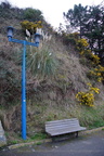 DSC08585