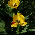 DSC03803