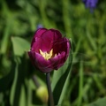 DSC03824