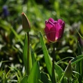 DSC03826