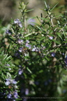 DSC03814
