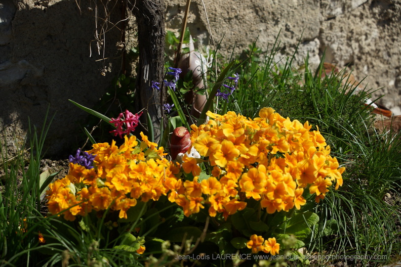 DSC03827.JPG