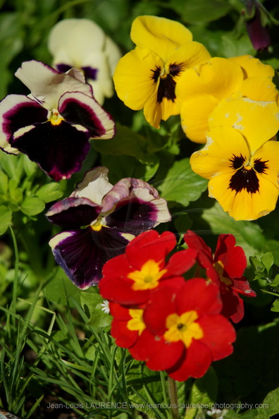 DSC03832.JPG