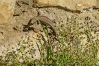 DSC03949