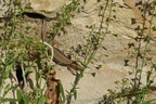 DSC03950