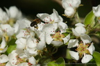 DSC04003