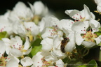 DSC04002