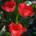 DSC04011