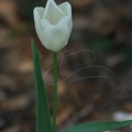 DSC04163