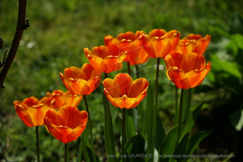 DSC04113.JPG