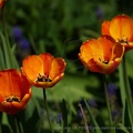 DSC04119