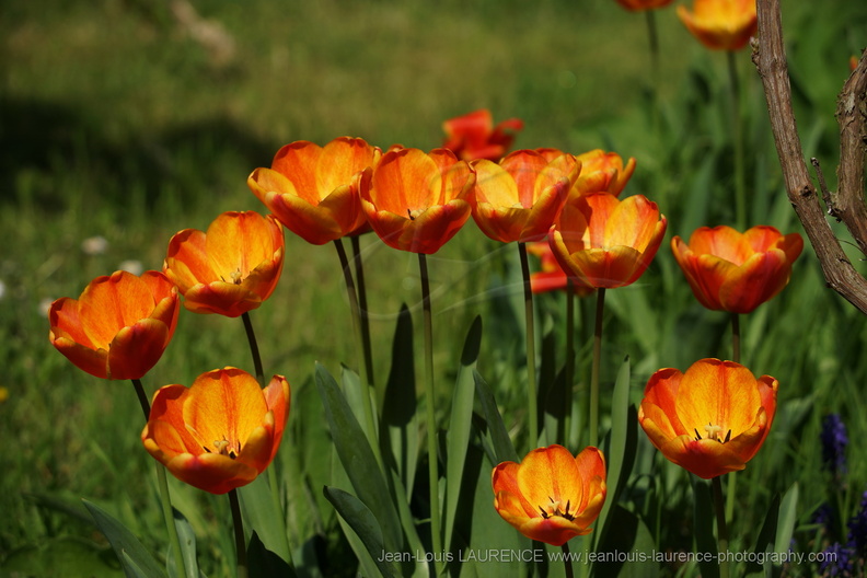 DSC04121.JPG