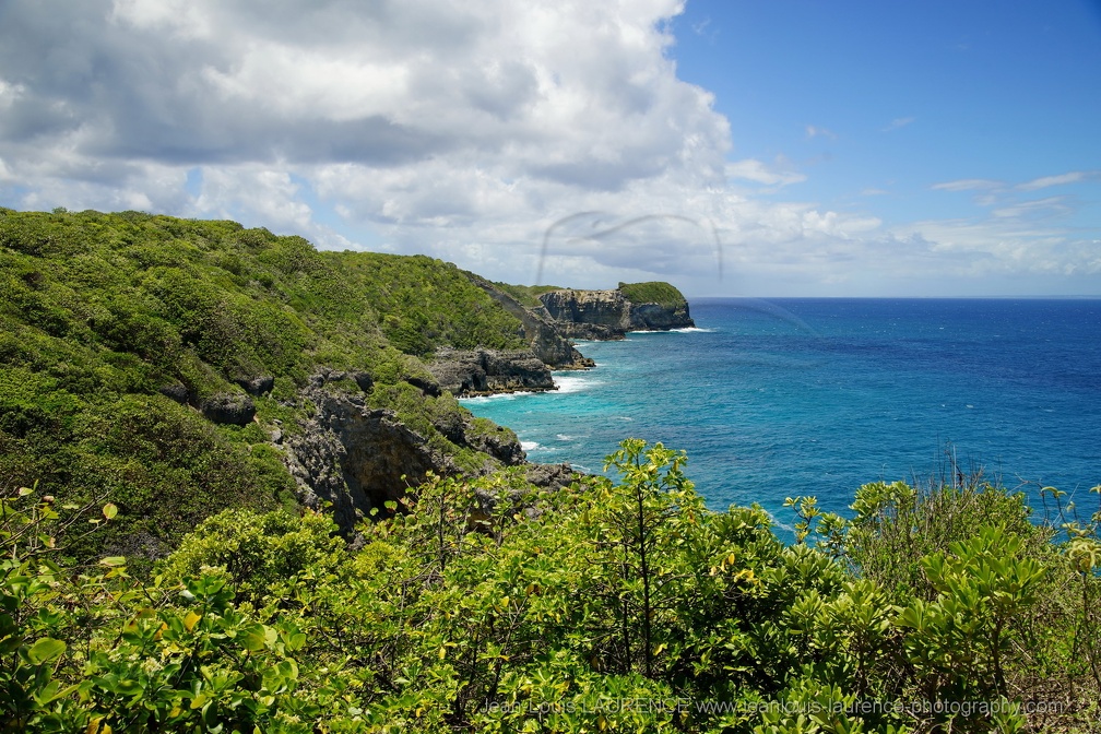 DSC06054 (1676 visites) DSC06054