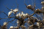 DSC04667