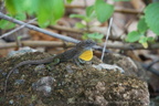 DSC04969