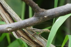DSC05789