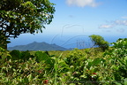 DSC05430