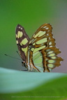 DSC04445