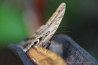 DSC04448