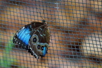 DSC04455