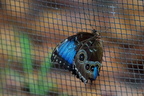 DSC04456