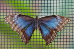 DSC04457