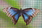 DSC04458