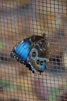 DSC04460