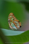 DSC04471