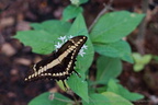 DSC04497