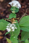 DSC04500