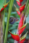 DSC04509