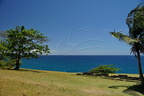 Basse Terre
