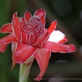 DSC04905