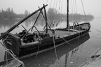 DSC08130 BW